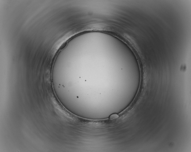 X0000115421465200911171412