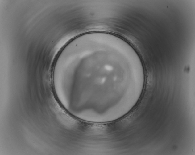 X0000115421466200911171412