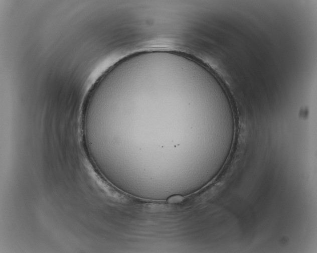 X0000115421469200911171412
