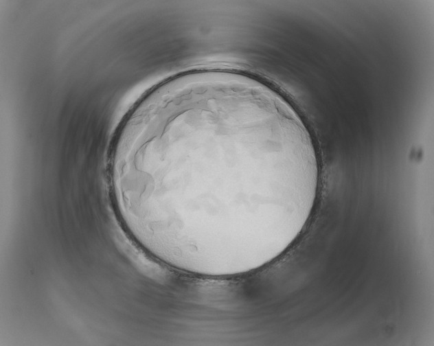 X0000115421470200911171412