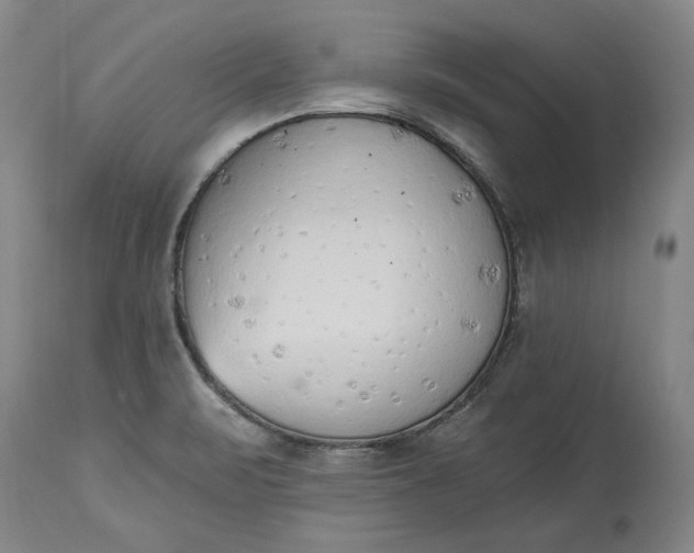 X0000115421471200911171412