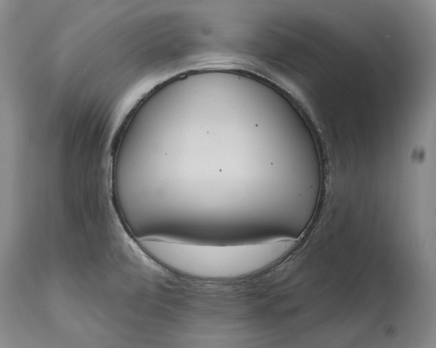 X0000115421472200911171412
