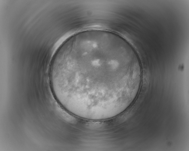 X0000115421474200911171411
