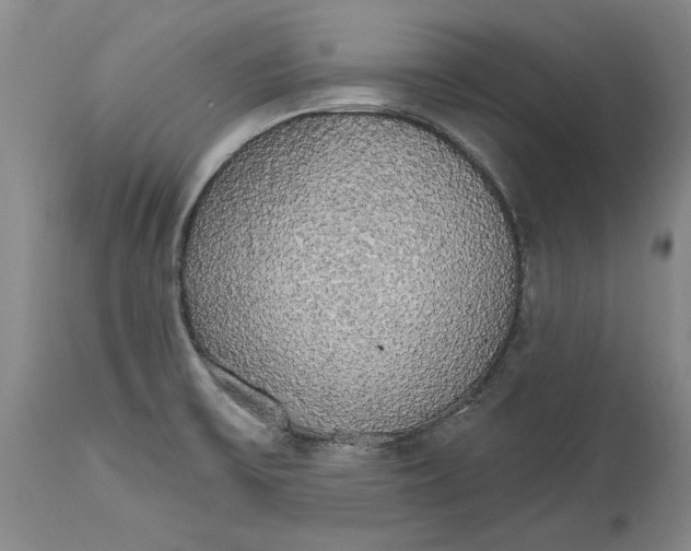 X0000115421475200911171411