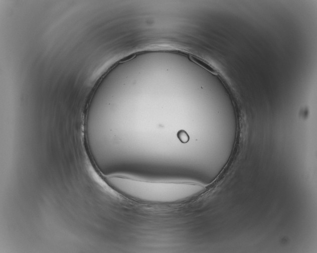 X0000115421476200911171411