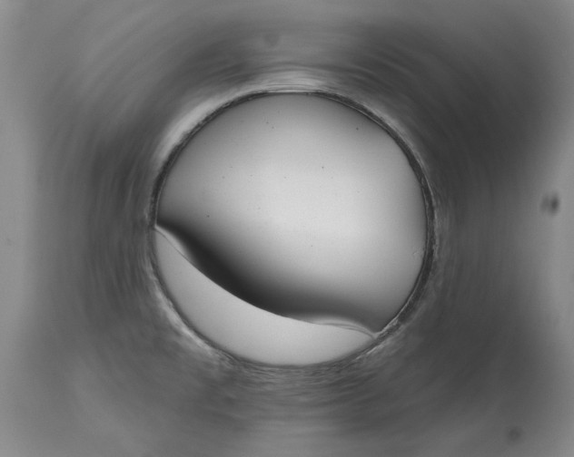 X0000115421477200911171411