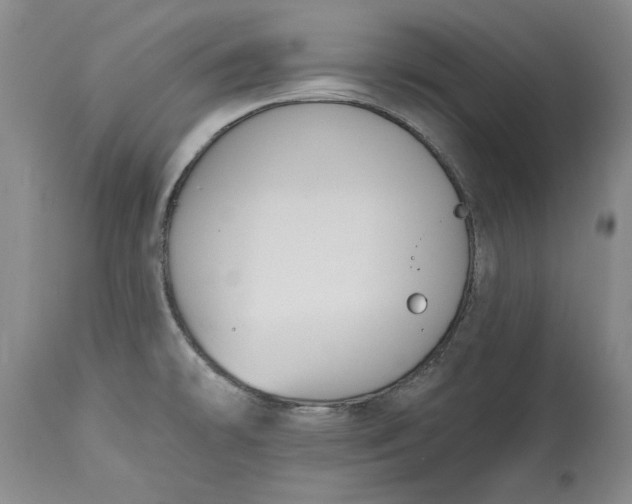 X0000115421478200911171411