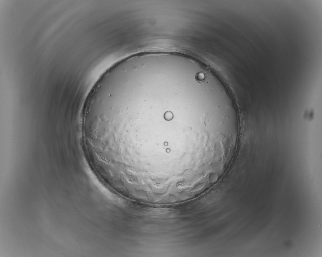 X0000115421479200911171411