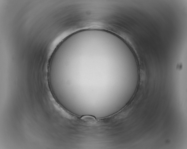 X0000115421480200911171411