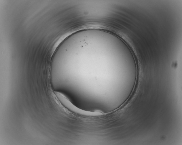 X0000115421481200911171411