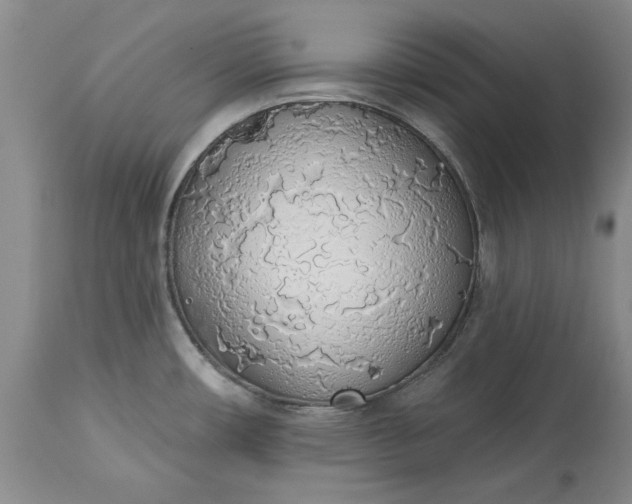 X0000115421482200911171411