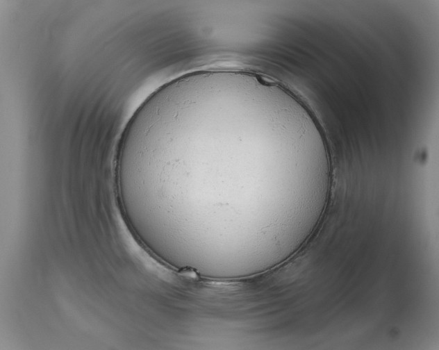 X0000115421483200911171411