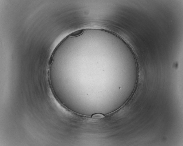 X0000115421484200911171411