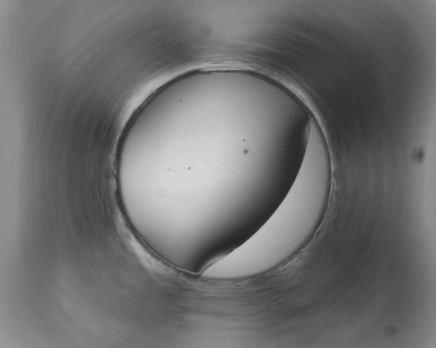 X0000115421485200911171411