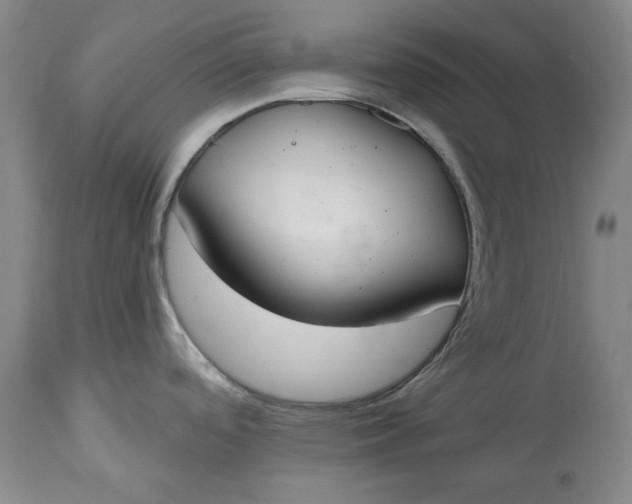 X0000115421488200911171411