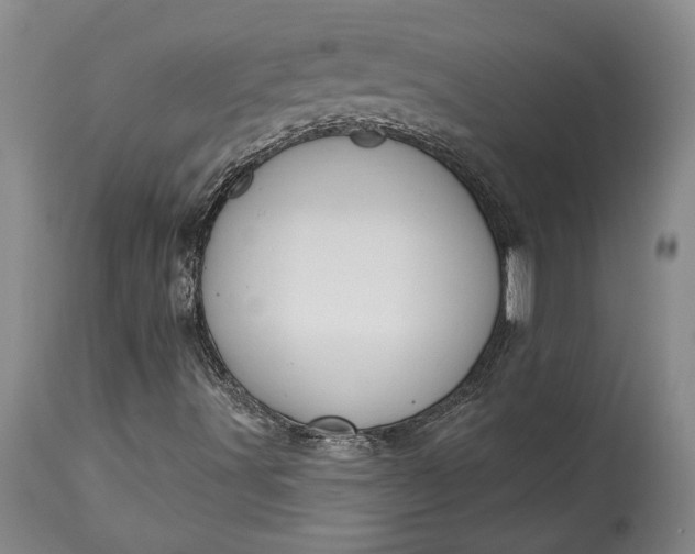 X0000115421491200911171411