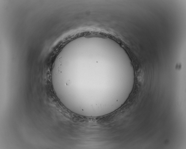 X0000115421495200911171411
