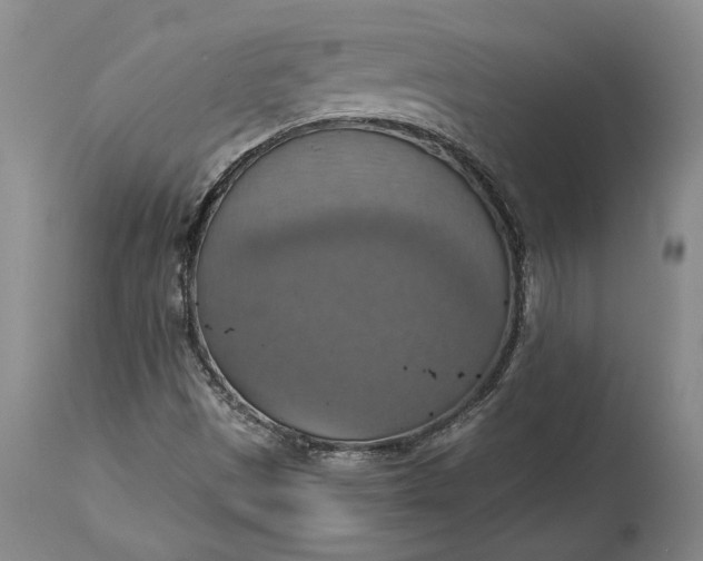 X0000115421497200911171411