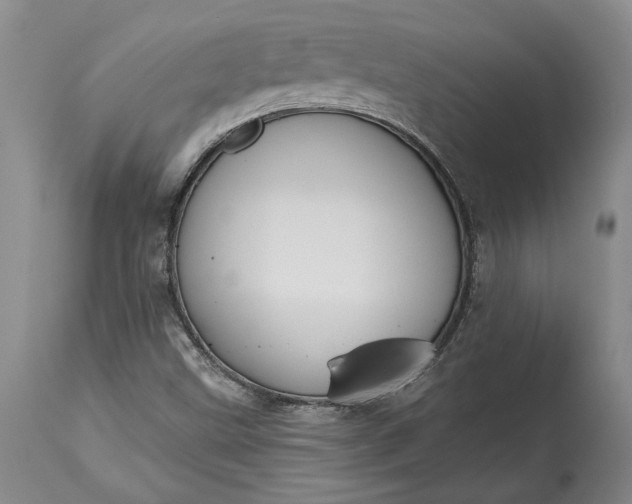 X0000115421499200911171411