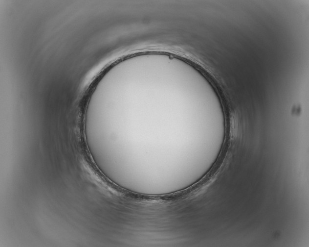 X0000115421502200911171411