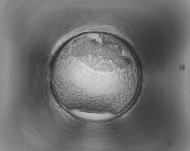 X0000115421506200911171411