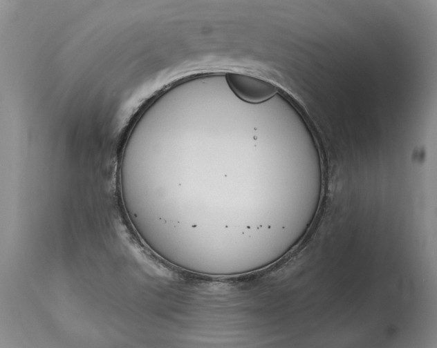 X0000115421507200911171411