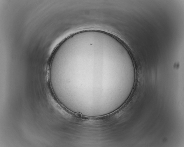 X0000115421510200911171411