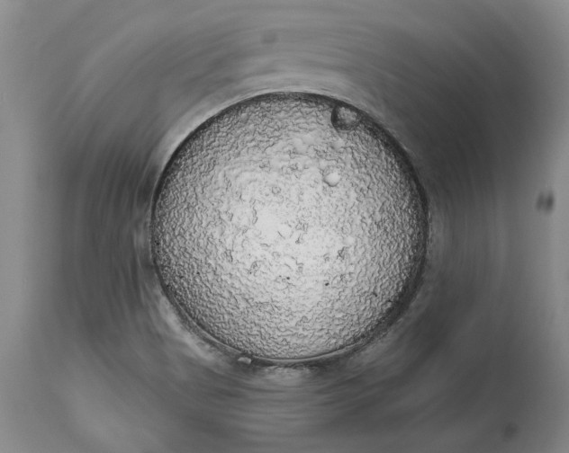 X0000115421513200911171411