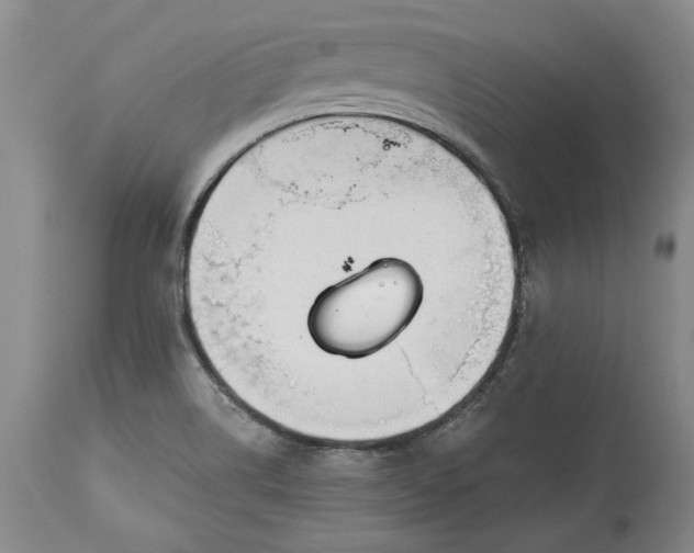 X0000115421514200911171411