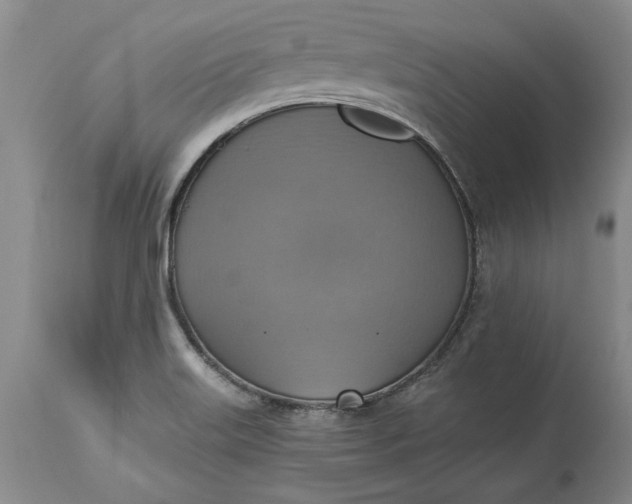 X0000115421515200911171411