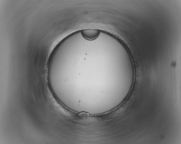 X0000115421517200911171411
