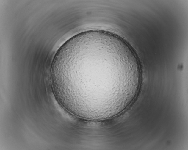 X0000115421521200911171411