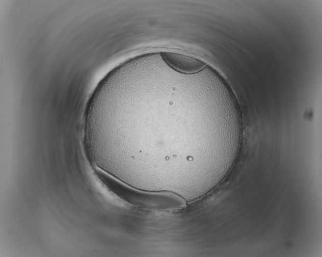 X0000115421523200911171411