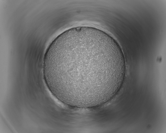 X0000115421525200911171411