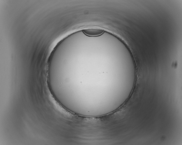 X0000115421526200911171411