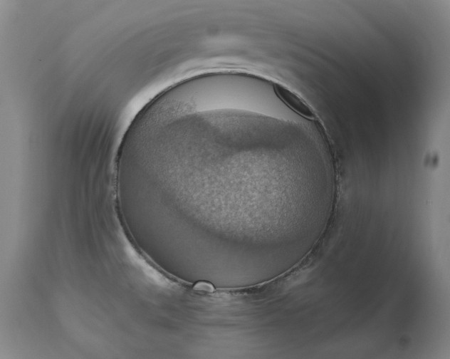 X0000115421527200911171411