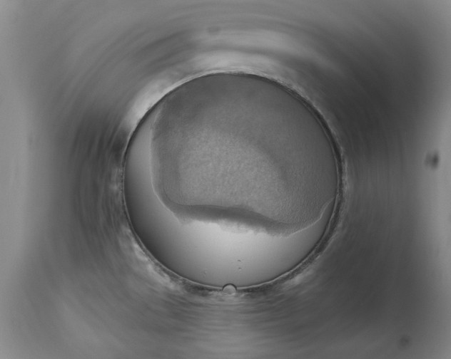 X0000115421529200911171411