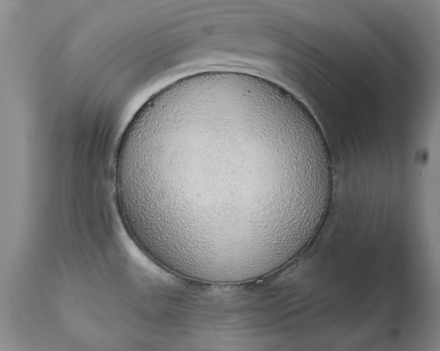 X0000115421531200911171411