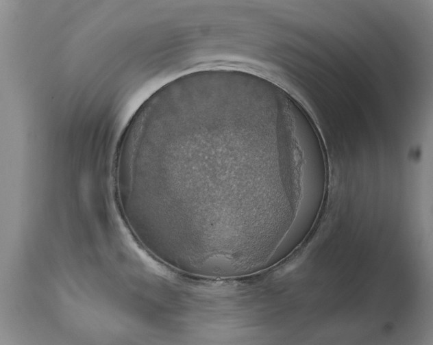 X0000115421533200911171411