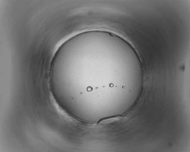 X0000115421534200911171411