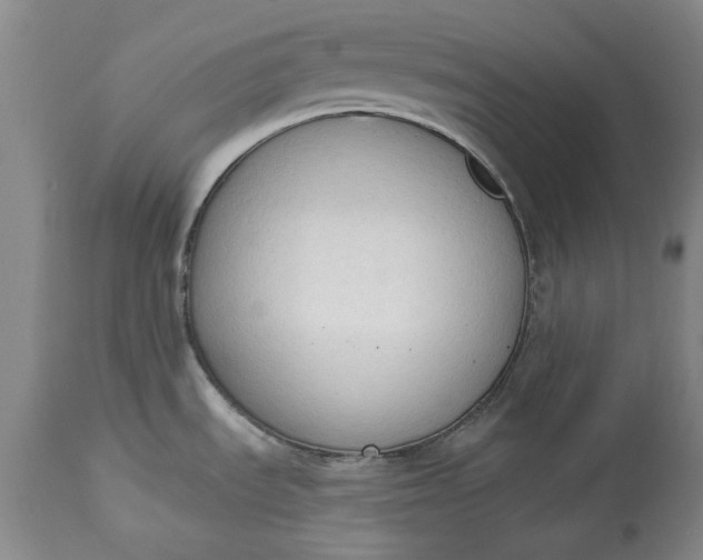 X0000115421535200911171411