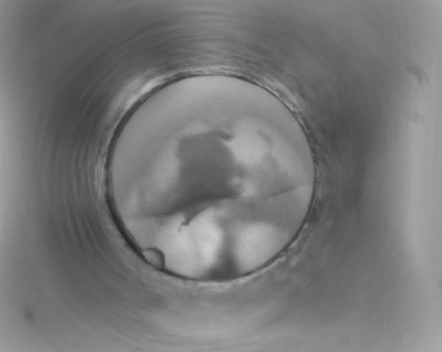 X0000115420002200911241357