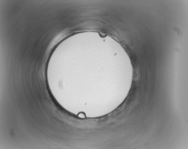 X0000115420004200911241357