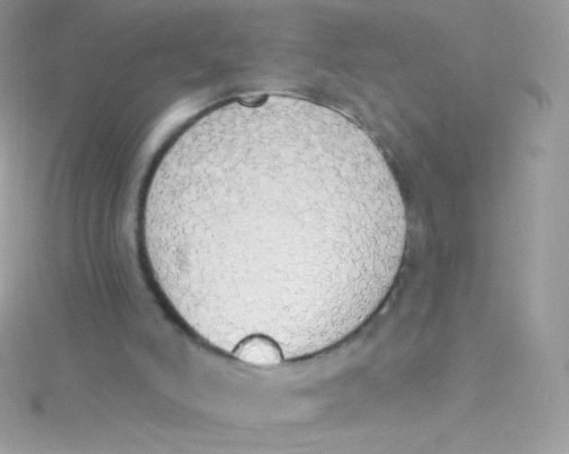 X0000115420006200911241357