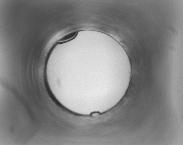 X0000115420007200911241357