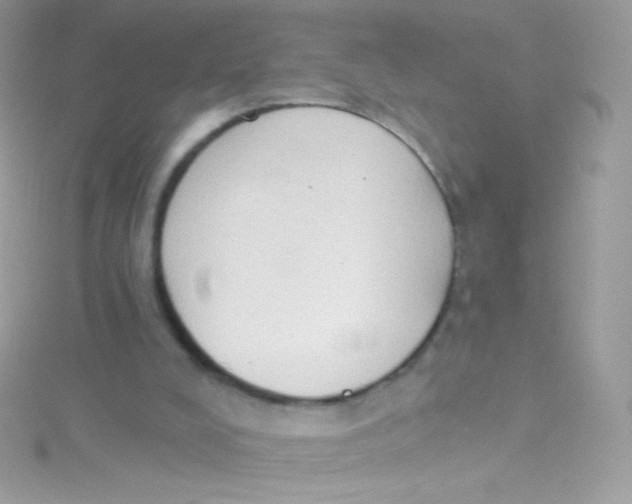 X0000115420008200911241357