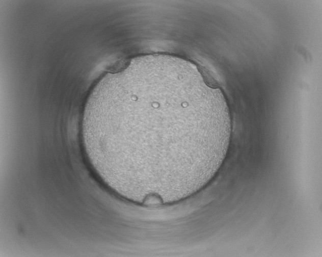 X0000115420010200911241357