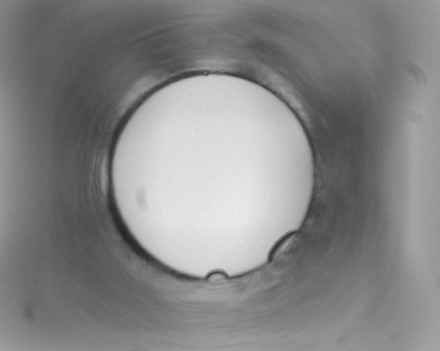 X0000115420011200911241357