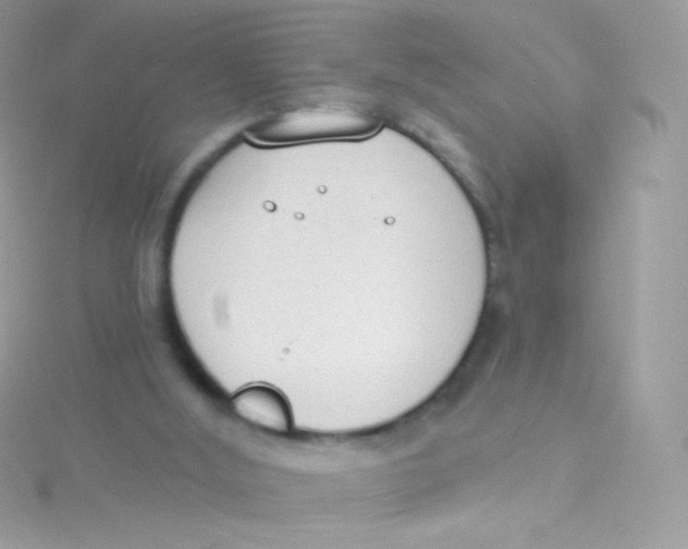 X0000115420012200911241357