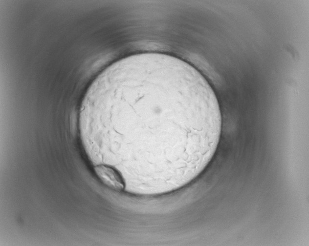 X0000115420014200911241357